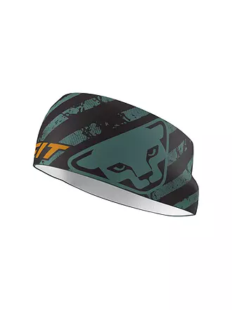 DYNAFIT | Bandeau Graphic Performance |